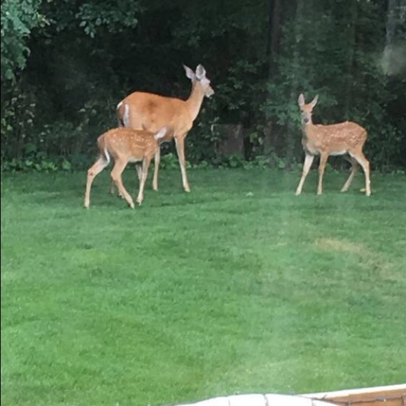 Meet your Posher, Paty - Picture 8 of 16